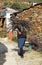 Woman older carrying firewood, Hurdes, Caceres province, Spain