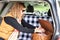 Woman opening picnic basket in back of car