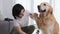 Woman Owner Brushing Paws To Her Dog