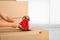 Woman packing carton box indoors, closeup