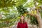 Woman with papayas on the plantation