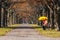 Woman in the park with umbrella