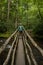 Woman Pauses on Long Wooden Bridge