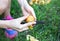 Woman peels potatoes. Homemade lunch outdoors. Summer vibes