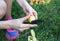 Woman peels potatoes. Homemade lunch outdoors. Summer vibes