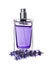 Woman perfume in beautiful bottle and lavender flowers