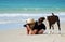 Woman & pet dog on tropical beach taking photos