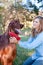 Woman petting dog