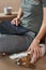 Woman petting jack russel terrier puppy dog on the sofa. Good relationships and friendship between owner and animal pet