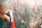 Woman photographer photographs fog on lake