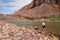 Woman photographing the Colrado River and inner canyon in the Grand Canyon.