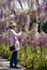 Woman photographs wisteria flowers in the Wisteria Walk at RHS Wisley garden, Surrey, UK.