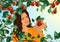 Woman picking an apple, cdr vector