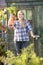 Woman picking carrots on allotment