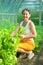 Woman picking lettuce