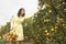 Woman Picking Oranges