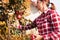 Woman picking ripe apples on farm. Farmer grabbing apples from tree in orchard. Fresh healthy fruits ready to pick on fall season