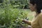 Woman picking some aromatic herbs mint, rosemary, oregano, thyme from a flower bed.