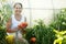 Woman picking tomato