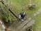 Woman picking trash and removing weeds