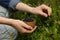 Woman picking up bilberries in forest, closeup