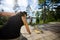 Woman Picking Up Wooden Block With Rope On Patio