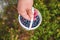 Woman picking wild fresh blue berry from plants in summer outing activity and collecting in a basket