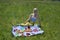 Woman on a Picnic on Sunny Day