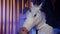 A woman in a pigeon mask is dancing in the background, and a young man in a unicorn mask is sitting at a table