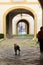 Woman piggyback strolling her dog with vintage buildings in the background in the historic center of Palermo in Italy