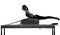 Woman pilates reformer exercises fitness isolated