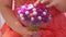 Woman in pink dress holding bridal bouquet in hands close-up. Wedding purple red white flowers bunch.Wedding decorations