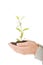 Woman with plant and dirt in hand