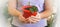 Woman with a plant in her hands. Red pot with a small houseplant close-up.