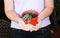 Woman with a plant in her hands. Red pot with a small houseplant close-up.