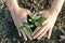 Woman planted a tree on a drought-stricken land.