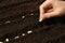 Woman planting beans into fertile soil, closeup. Vegetable seeds