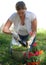 Woman Planting Flowers