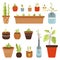 Woman planting plants and herbs into pots, flat vector illustration isolated.
