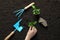 Woman planting seedling in soil near gardening tools