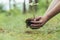 A woman plants a small oak tree in the forest, a volunteer helps to plant new trees, close-up photo