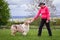 Woman playing with her Australian shepherd dog