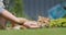 A woman is playing with her cat. The pet lies on a green lawn on the back door of the house