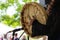 Woman playing native drum on stage