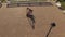 A woman plays a harp in an ancient Greek Park. Aerial view. Static frame