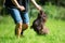 Woman plays with a Havanese dog in the meadow