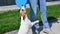 Woman plays Jack Russell Terrier outdoors. A funny playful dog for a walk with the owner