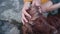 Woman plays with long ears of fluffy brown doggy friend