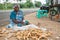 Woman plucks cotton out of the shells.