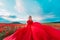 Woman poppy field red dress. Happy woman in a long red dress in a beautiful large poppy field. Blond stands with her